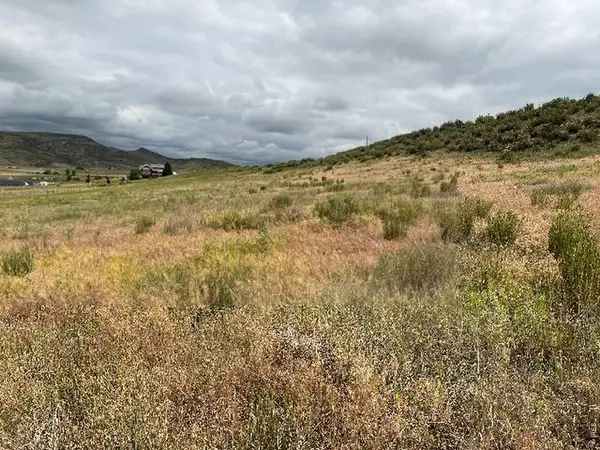 4318 Green Mile, Laporte, CO 80535