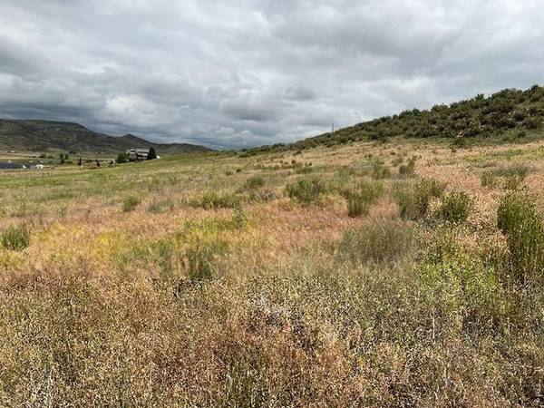 4318 Green Mile, Laporte, CO 80535