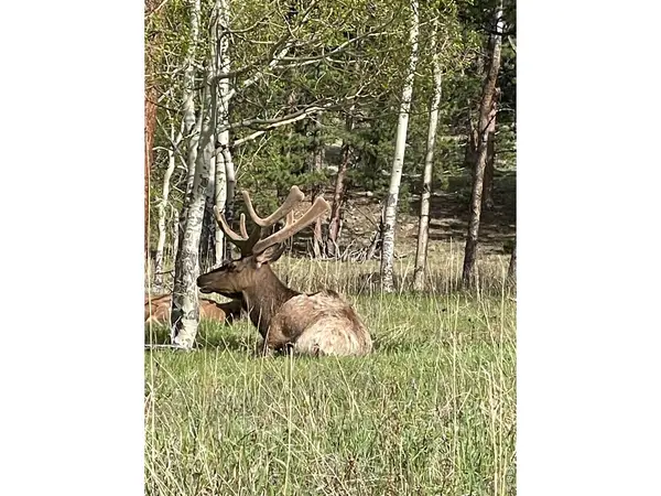 1565 Highway 66 ##31, Estes Park, CO 80517