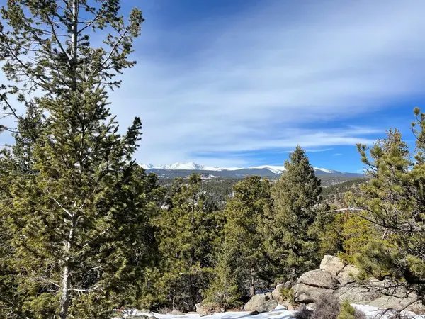 3153 Ridge, Nederland, CO 80466
