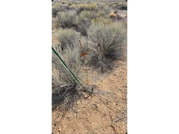 San Luis, CO 81152