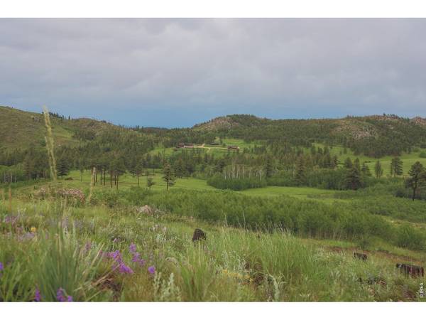 14884 Rist Canyon, Bellvue, CO 80512