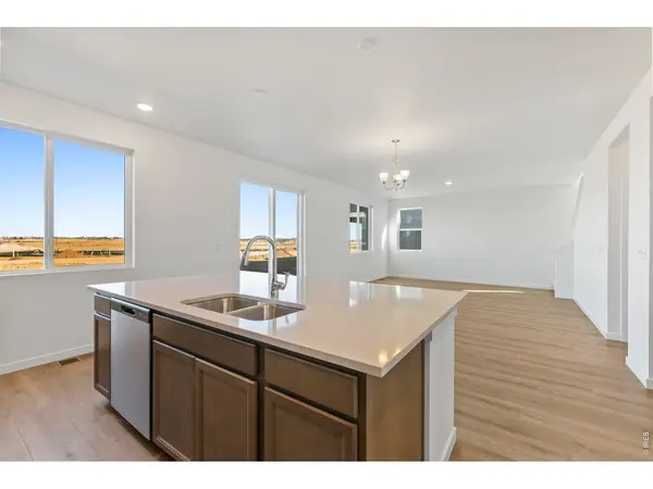 1448 Boyle, Windsor, CO 80550