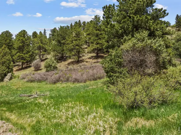 Dunraven Glade, Glen Haven, CO 80532