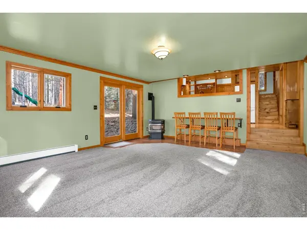 251 Haugen Slide, Allenspark, CO 80510