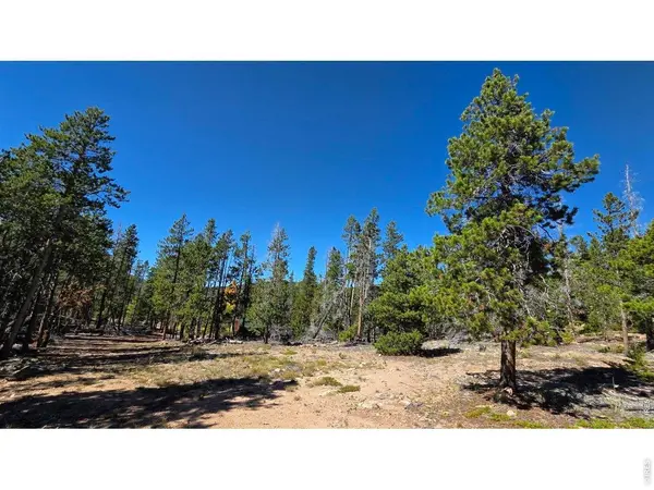 1367 Osage, Red Feather Lakes, CO 80545