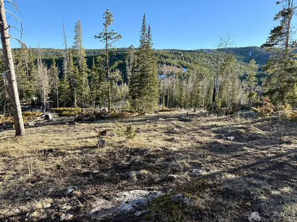 227 Micmac, Red Feather Lakes, CO 80545