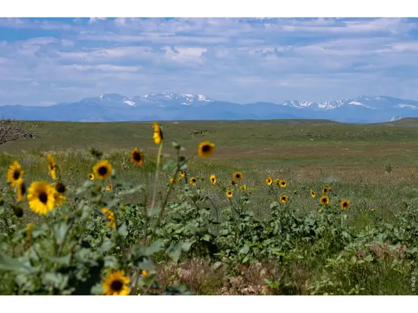 46 TBD County Road, Carr, CO 80612