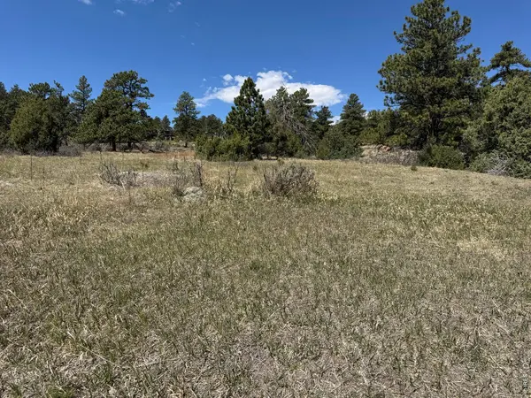 565 Le Conte, Livermore, CO 80536