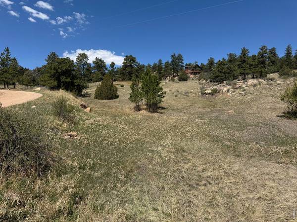 565 Le Conte, Livermore, CO 80536