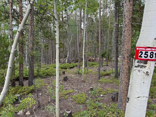 2581 Shoshoni, Red Feather Lakes, CO 80545
