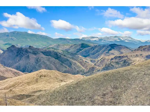 170 Little Bald Mountain, Livermore, CO 80536