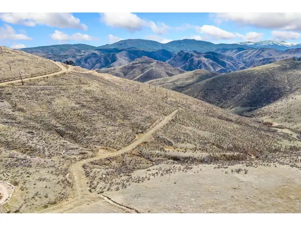 170 Little Bald Mountain, Livermore, CO 80536
