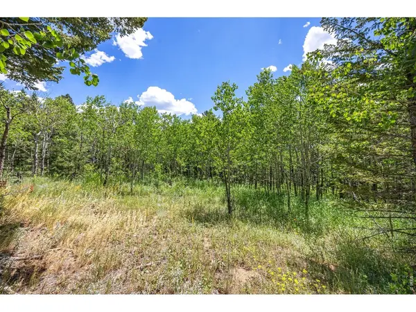 1568 County Road 103, Nederland, CO 80466