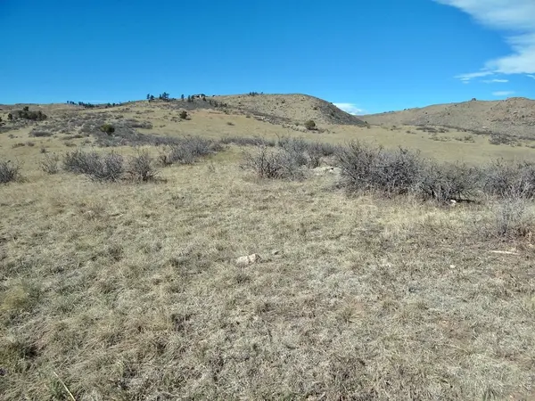 0 Gordon Creek, Livermore, CO 80536