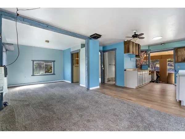 151 Columbine, Red Feather Lakes, CO 80545