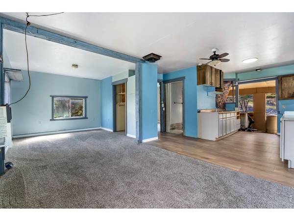 151 Columbine, Red Feather Lakes, CO 80545