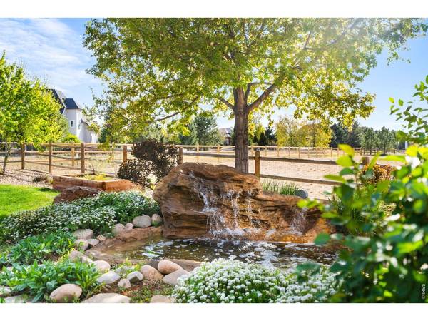 8213 Cherry Blossom, Windsor, CO 80550