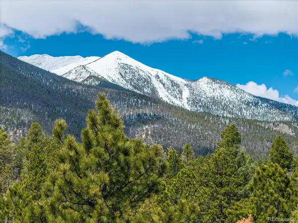 24900 County Road 339, Buena Vista, CO 81211