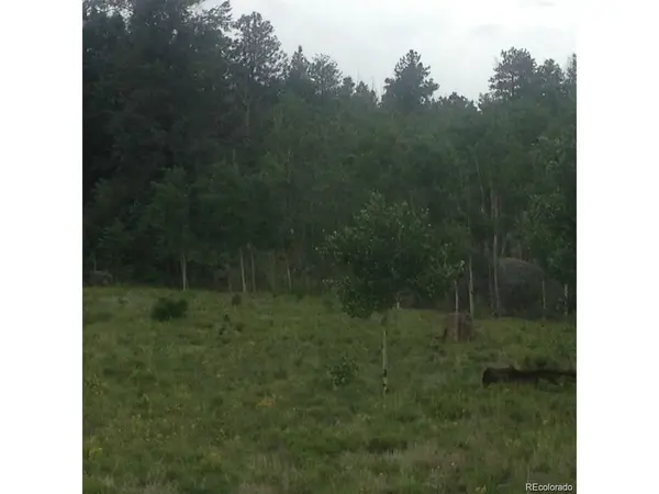 1681 Athapascan, Hartsel, CO 80449