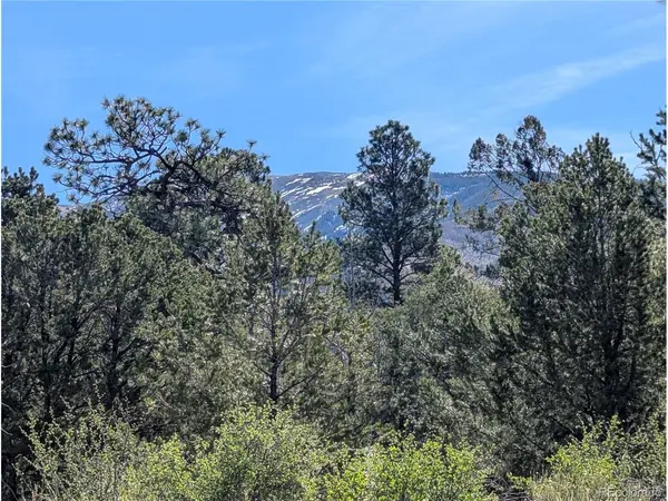 200 Mill Run, Mosca, CO 81146