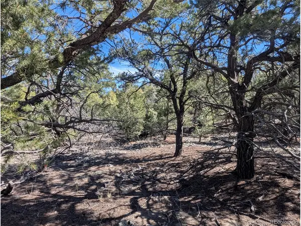 200 Mill Run, Mosca, CO 81146