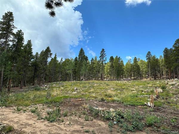 754 Mountain Meadows, Black Hawk, CO 80422
