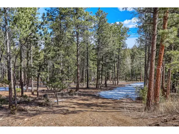 249 Territory, Pine, CO 80470
