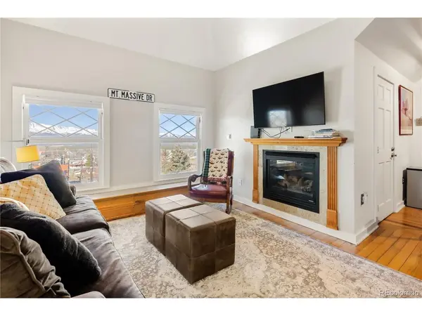 401 Old Saint Vincents #401, Leadville, CO 80461