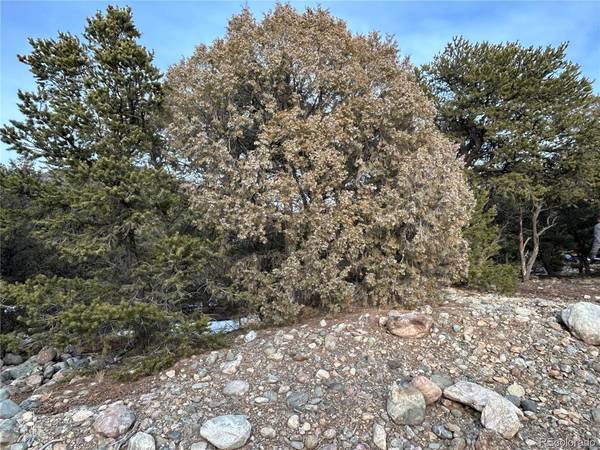 3593 Splendid, Crestone, CO 81131