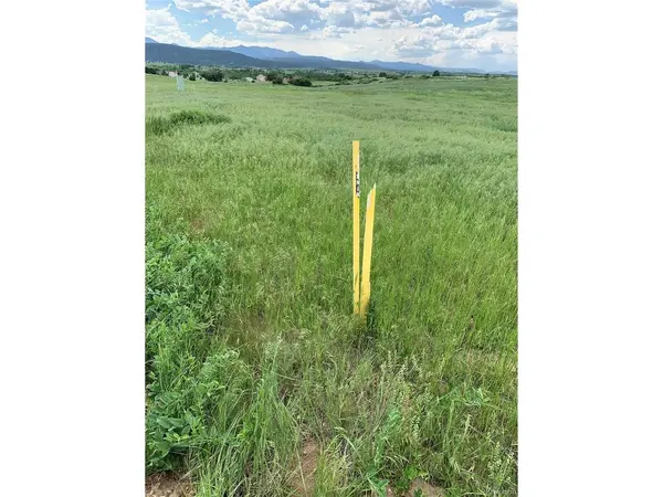 COLUMBINE, Colorado City, CO 81019