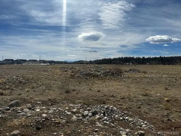 Address not disclosed, Fairplay, CO 80440