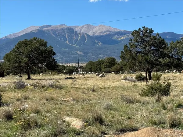 22 Garfield, Buena Vista, CO 81211