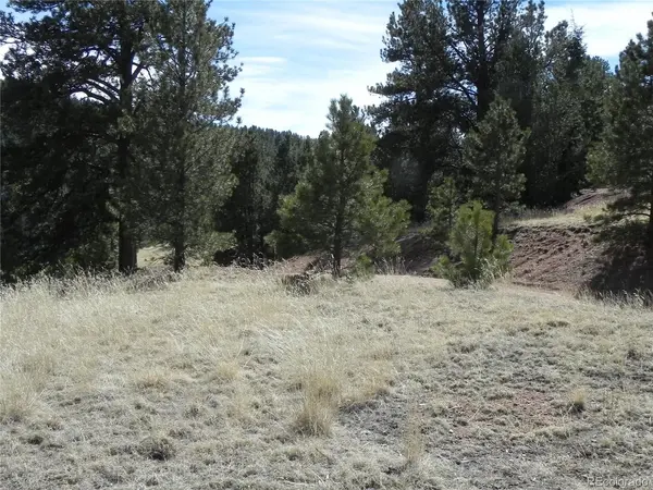 1087 Monarch, Cripple Creek, CO 80813