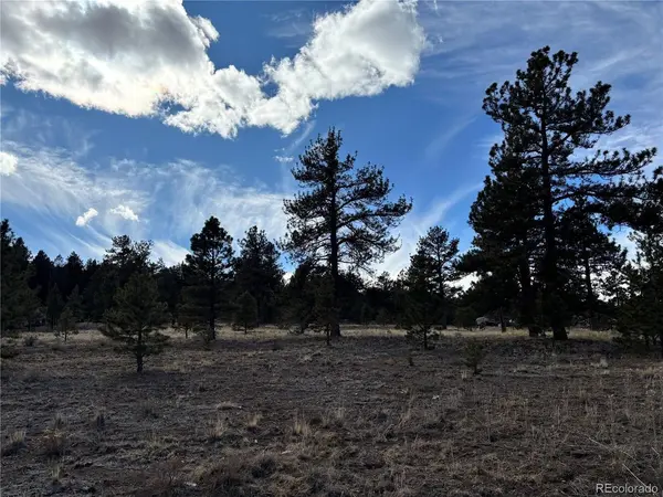 823 Windmill, Hartsel, CO 80449