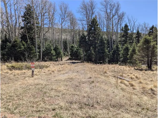 2664 Grojean, Fort Garland, CO 81133