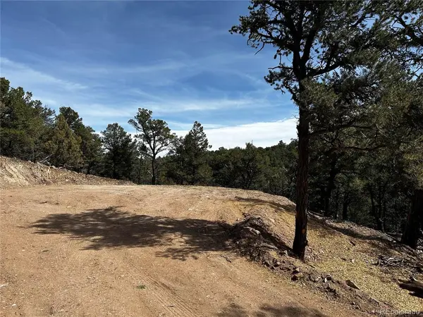 2065 Indian Wells, Cotopaxi, CO 81223