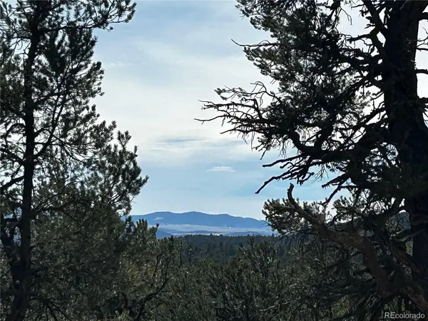 2065 Indian Wells, Cotopaxi, CO 81223