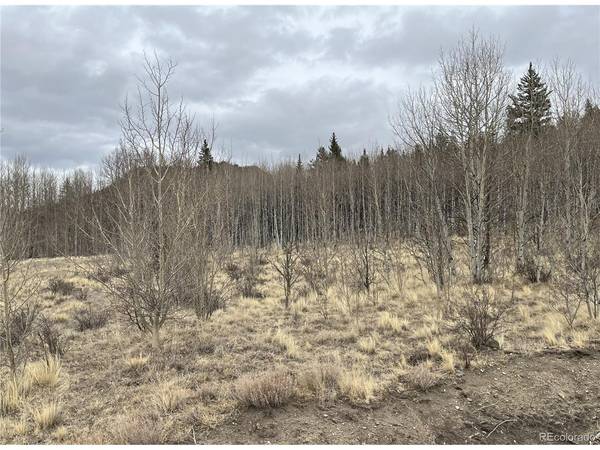 688 Ouray, Como, CO 80432