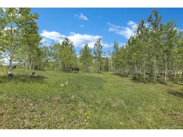 1121 GCR 2416, Kremmling, CO 80459