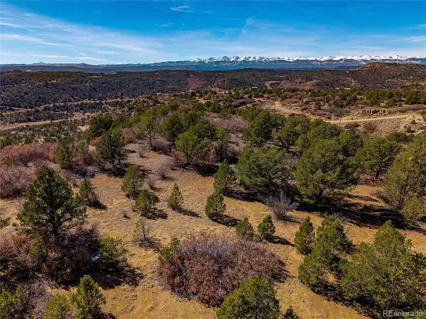 12222 Elk Run, Trinidad, CO 81082
