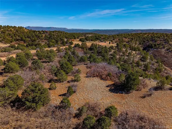 12222 Elk Run, Trinidad, CO 81082