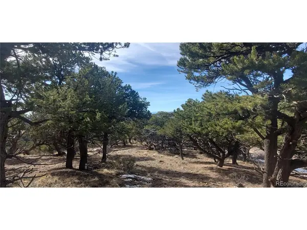 7274 Barker, Fort Garland, CO 81133