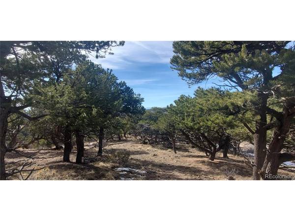 7274 Barker, Fort Garland, CO 81133