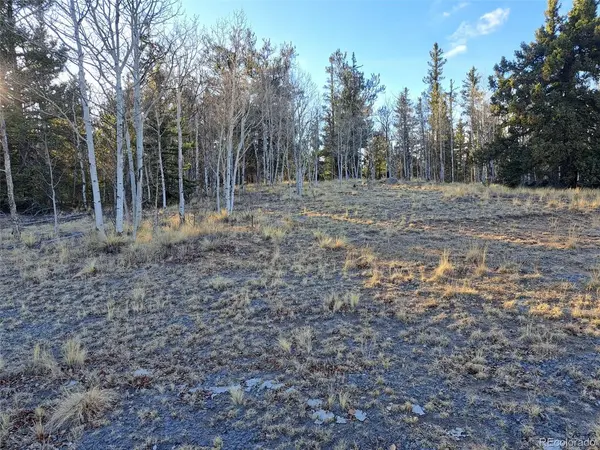 1645 Chippewa, Como, CO 80432
