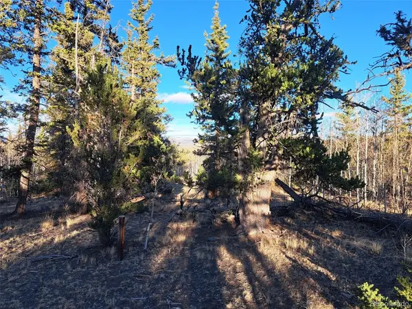 1645 Chippewa, Como, CO 80432