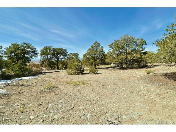 3609 Splendid, Crestone, CO 81131
