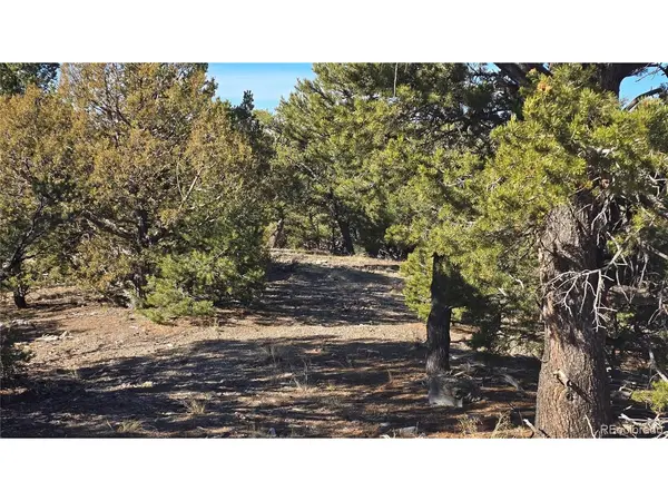 4510 Iannelli, Fort Garland, CO 81133