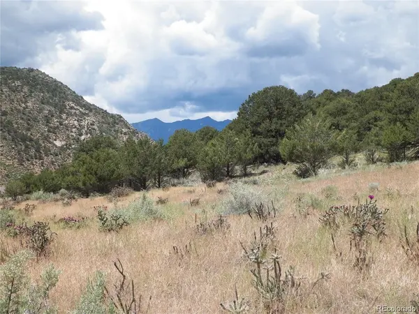 TBD, Cotopaxi, CO 81223