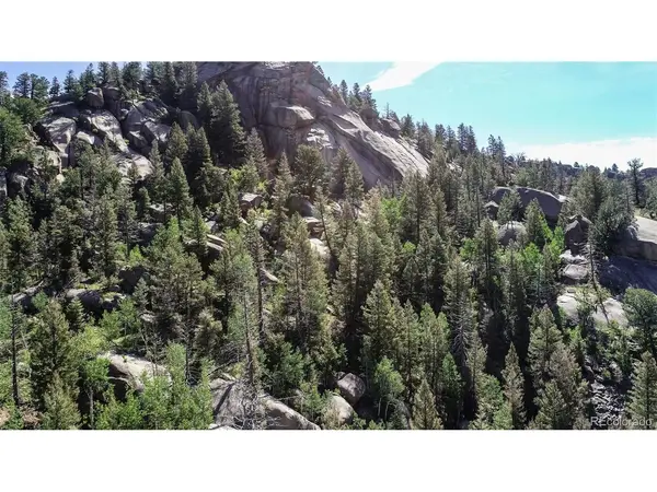 235 Hay Creek, Florissant, CO 80816